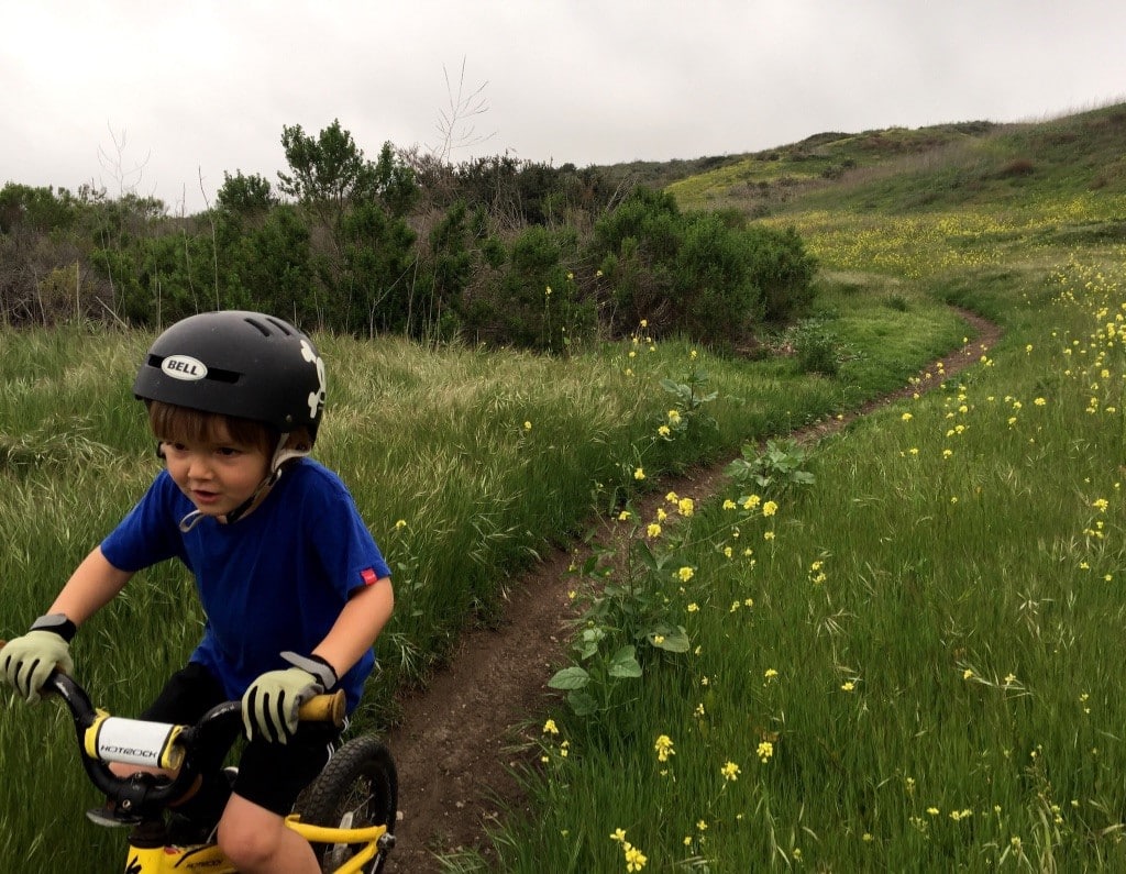 2021 05 04 SAGE Family v1